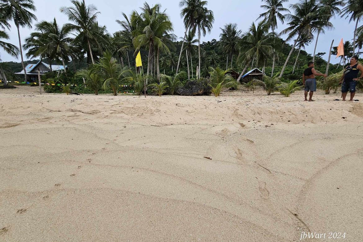 Land for Sale in San Mateo, Burgos, Surigao del Norte – photo 4