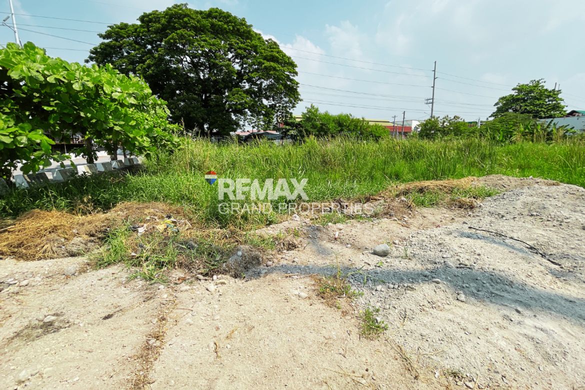 Land for Sale in San Matias, Guagua, Pampanga – photo 8