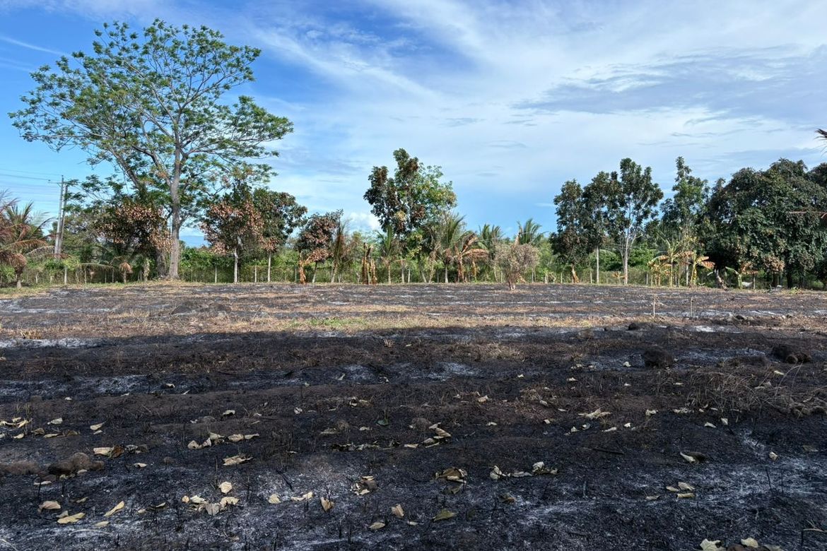 Land for Sale in San Miguel, Bacong, Negros Oriental
