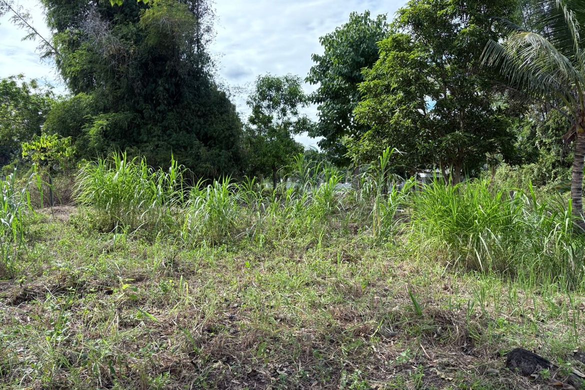 Land for Sale in San Miguel, Bacong, Negros Oriental – photo 3
