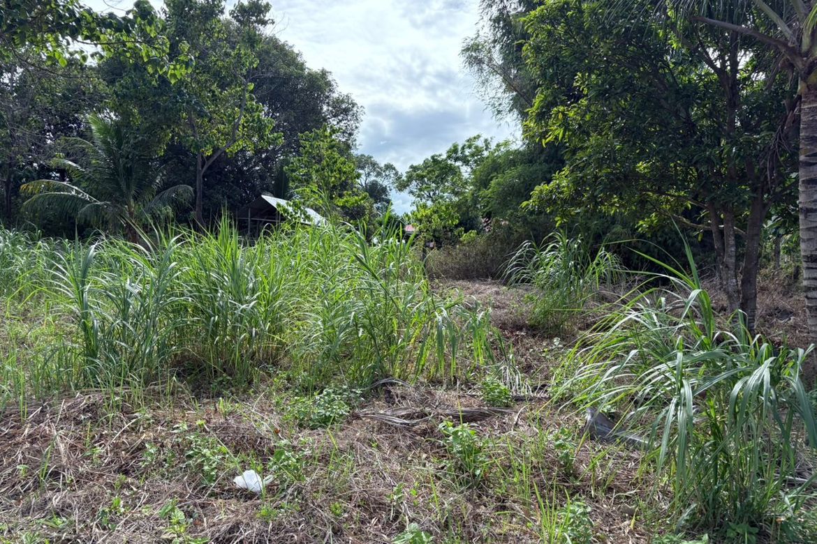 Land for Sale in San Miguel, Bacong, Negros Oriental – photo 4