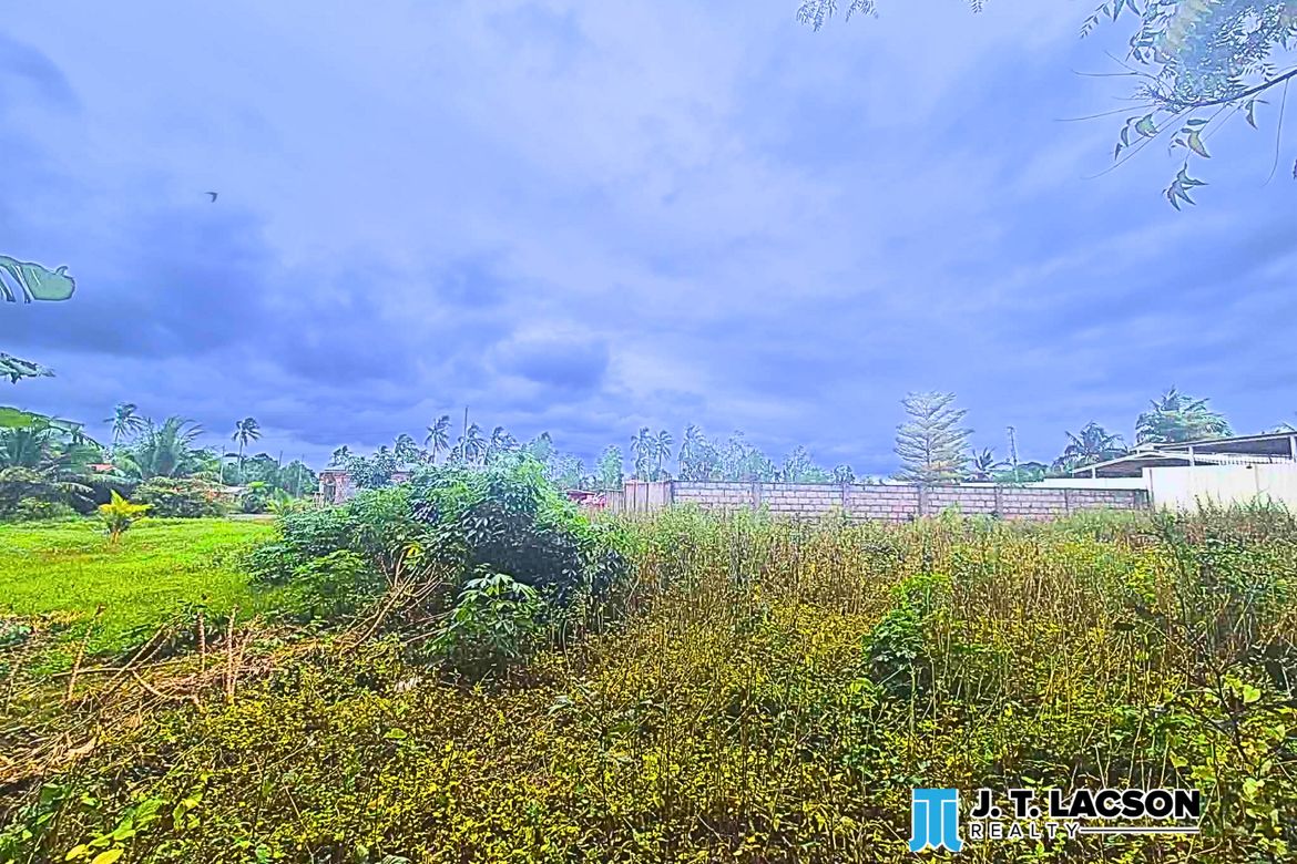 Land for Sale in San Miguel, Bacong, Negros Oriental – photo 2