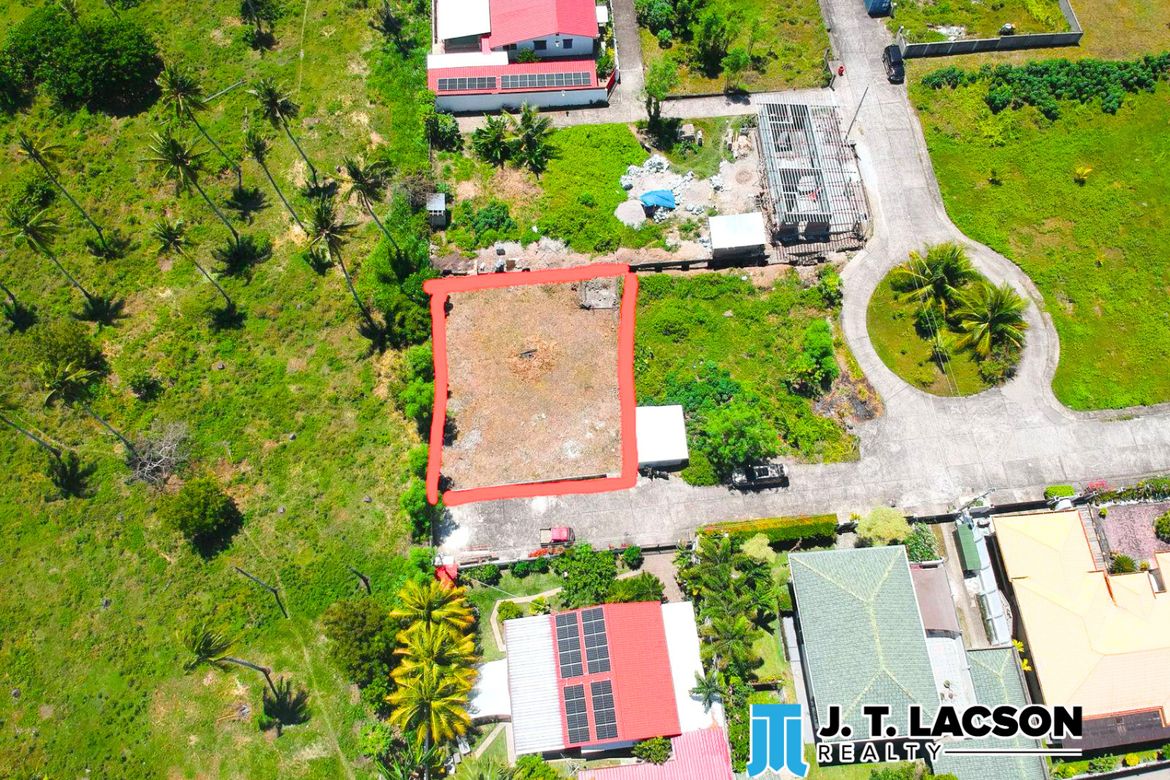 Land for Sale in San Miguel, Bacong, Negros Oriental – photo 4