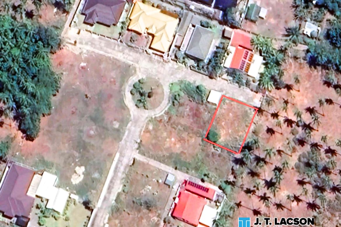 Land for Sale in San Miguel, Bacong, Negros Oriental – photo 5