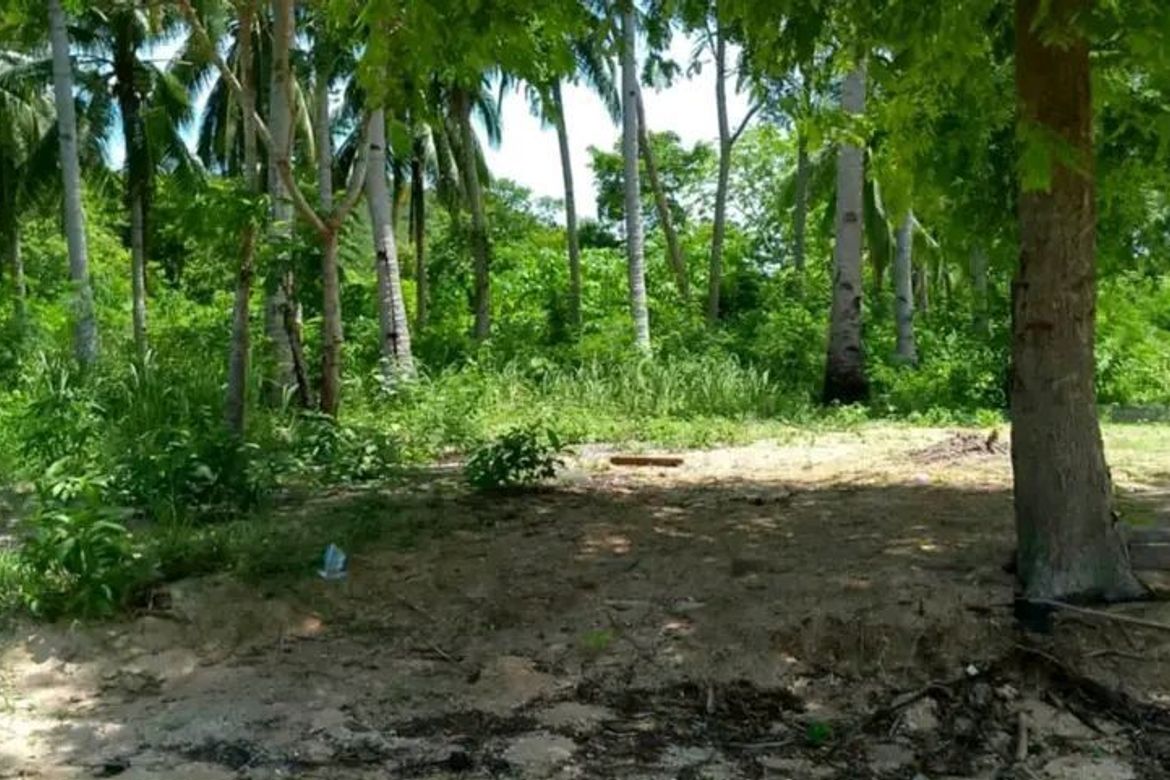 Land for Sale in San Miguel, Puerto Princesa, Palawan – photo 5