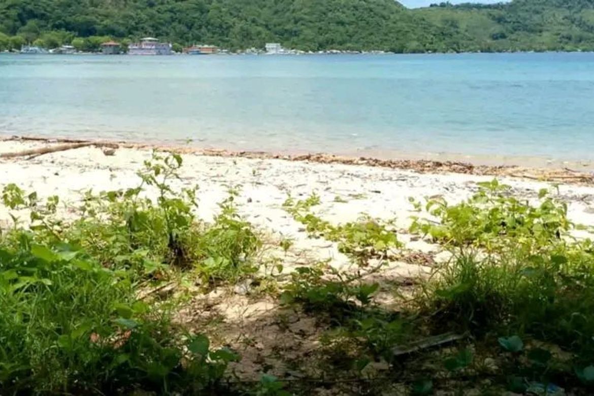 Land for Sale in San Miguel, Puerto Princesa, Palawan – photo 7