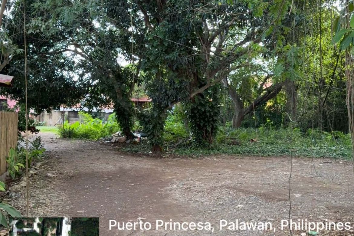 Land for Sale in San Miguel, Puerto Princesa, Palawan