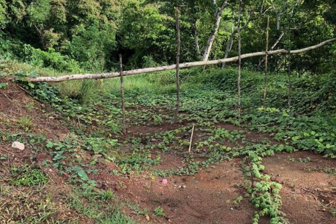 Land for Sale in San Miguel, Puerto Princesa, Palawan – photo 3