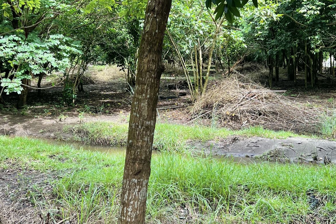 Land for Sale in San Miguel, San Antonio, Zambales – photo 4