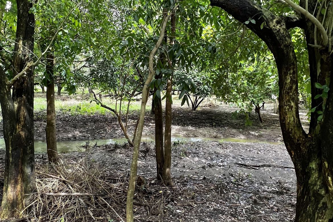 Land for Sale in San Miguel, San Antonio, Zambales – photo 5