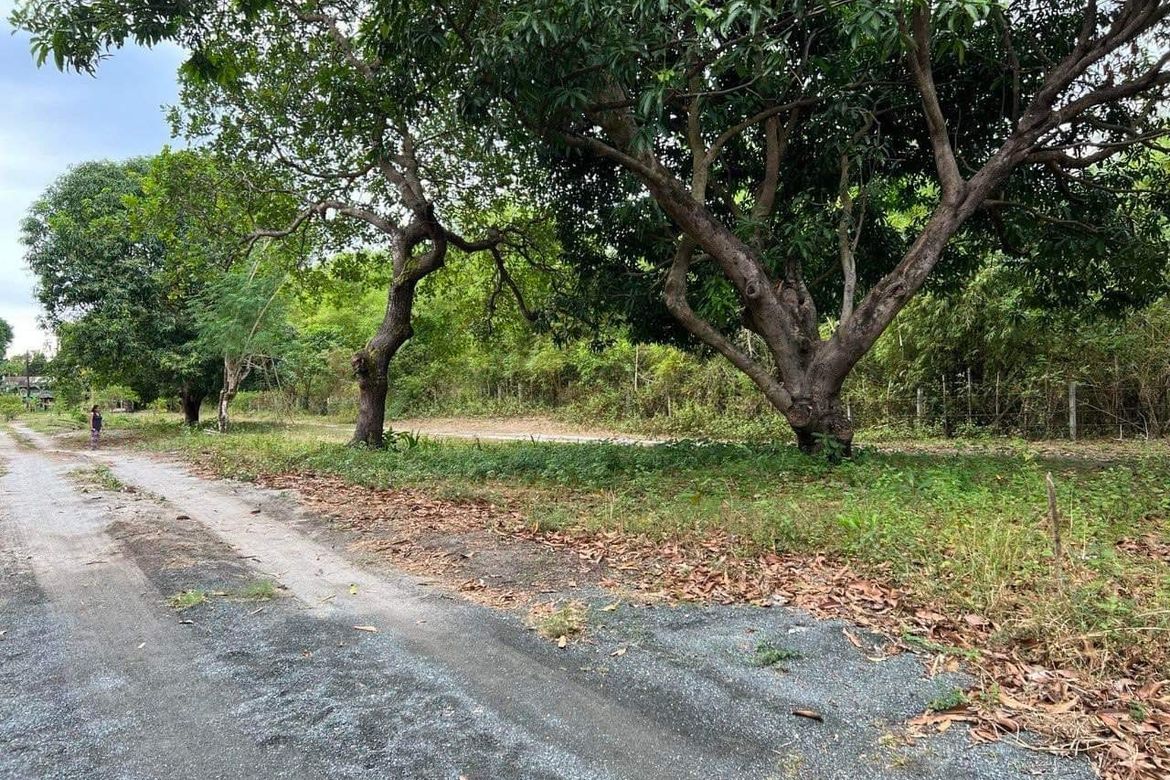 Land for Sale in San Miguel, San Antonio, Zambales
