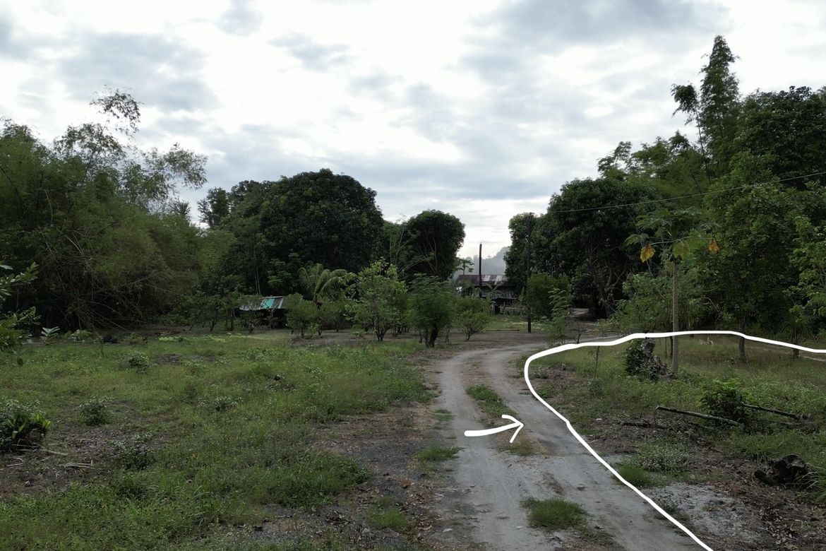 Land for Sale in San Miguel, San Antonio, Zambales – photo 2