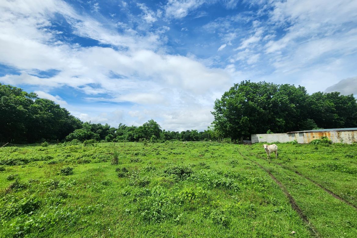 Land for Sale in San Miguel, Santo Tomas, Batangas – photo 2