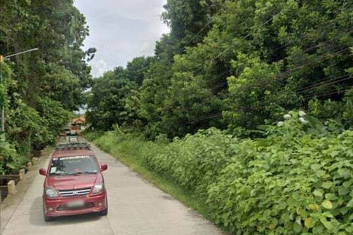 Land for Sale in San Miguel, Tagum, Davao del Norte – photo 2