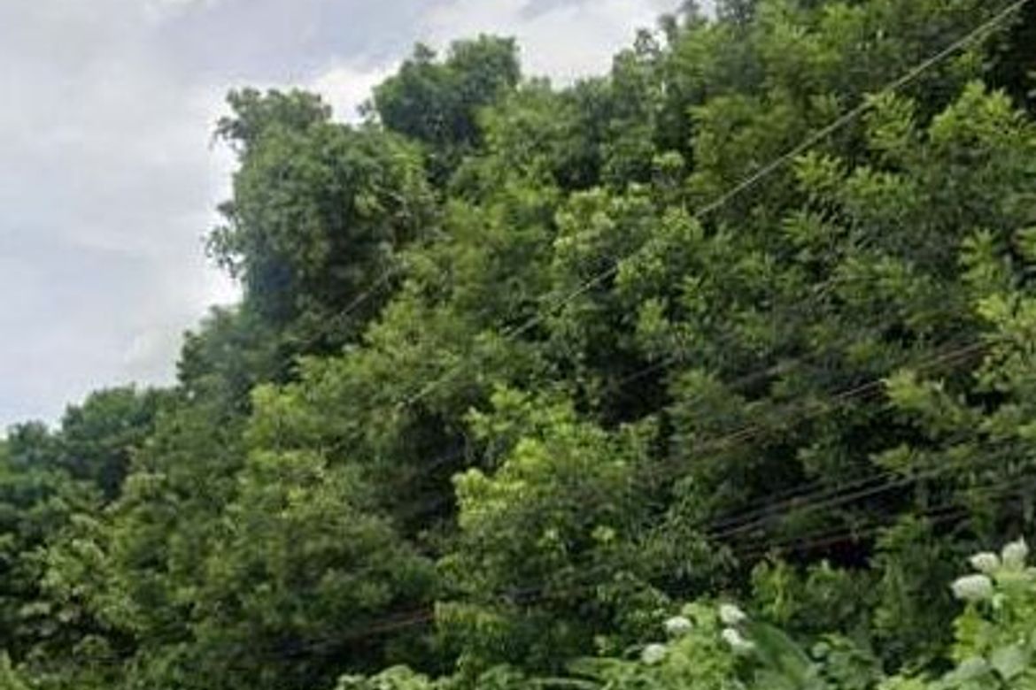 Land for Sale in San Miguel, Tagum, Davao del Norte – photo 6