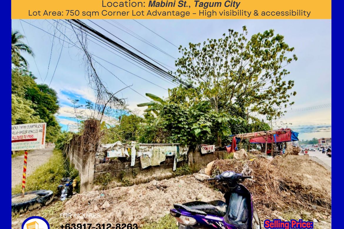 Land for Sale in San Miguel, Tagum, Davao del Norte
