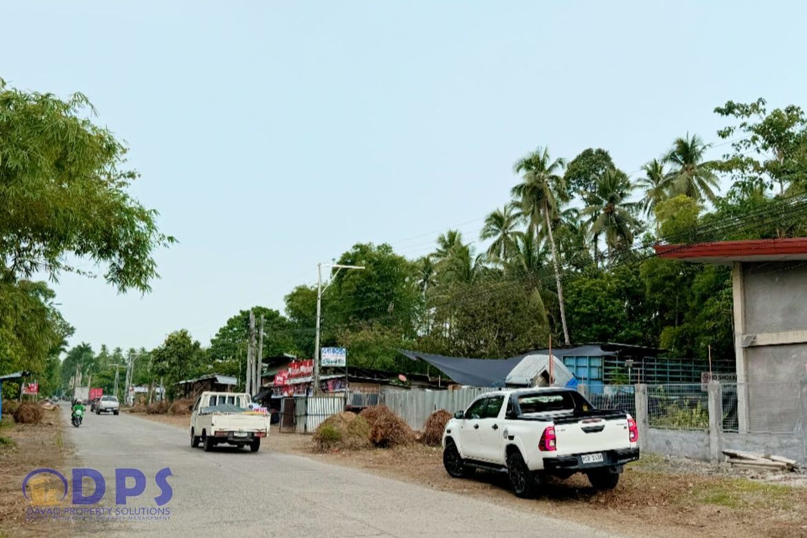 Land for Sale in San Miguel, Tagum, Davao del Norte – photo 2