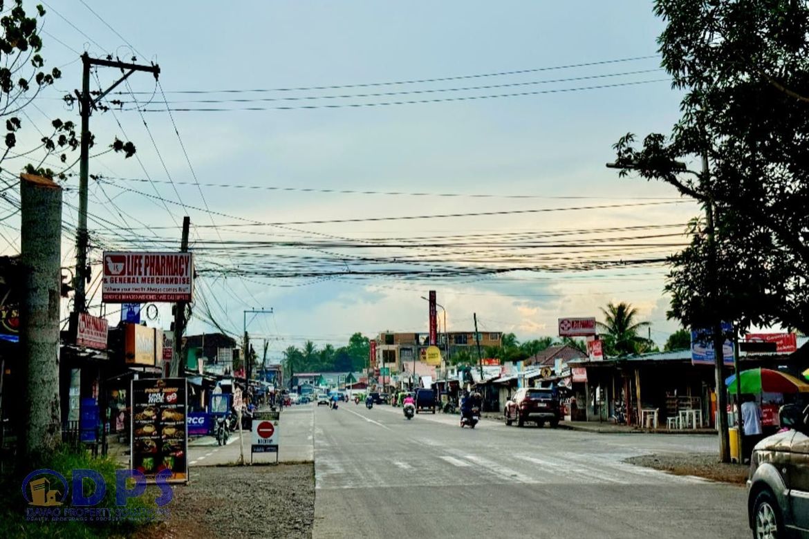 Land for Sale in San Miguel, Tagum, Davao del Norte – photo 5