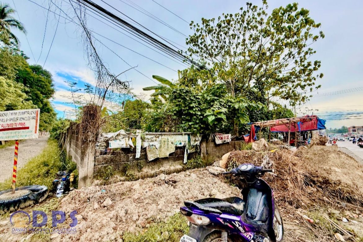 Land for Sale in San Miguel, Tagum, Davao del Norte – photo 8