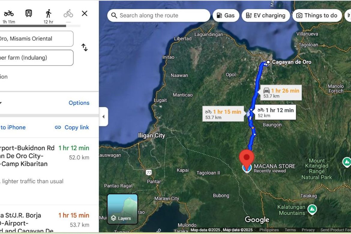 Land for Sale in San Miguel, Talakag, Bukidnon – photo 3