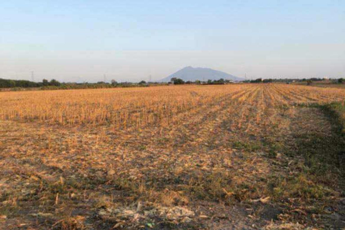 Land for Sale in San Nicolas Balas, Concepcion, Tarlac – photo 2