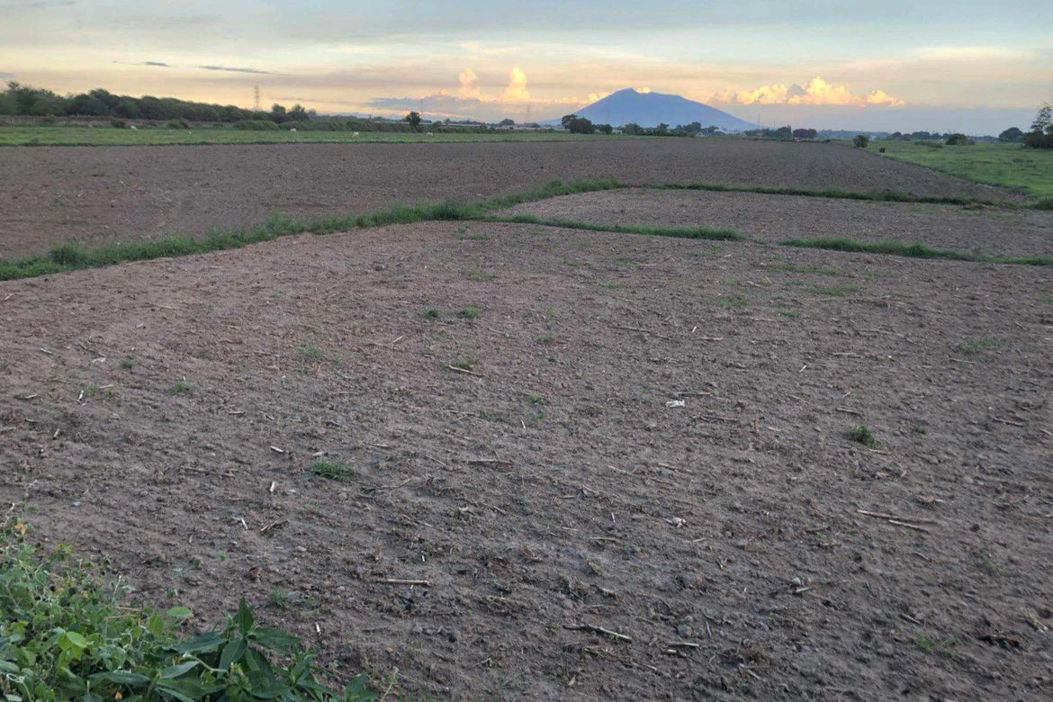 Land for Sale in San Nicolas Balas, Concepcion, Tarlac – photo 4
