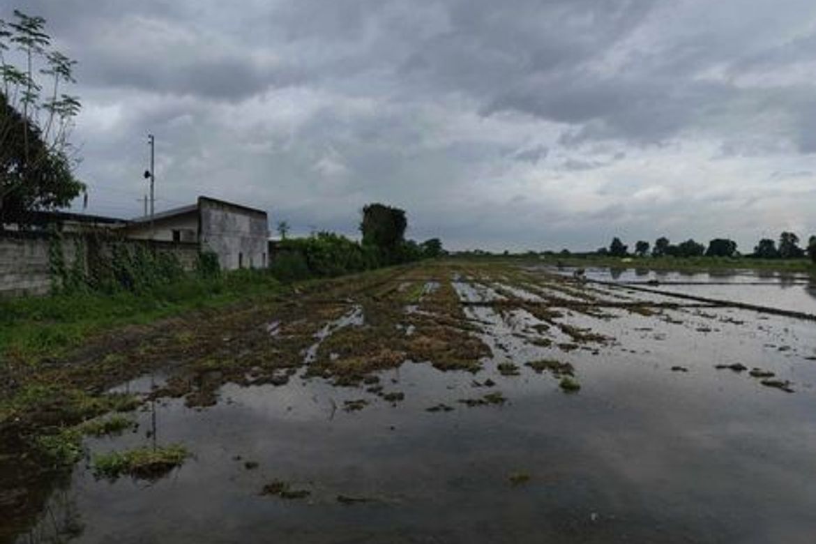 Land for Sale in San Nicolas, Concepcion, Tarlac