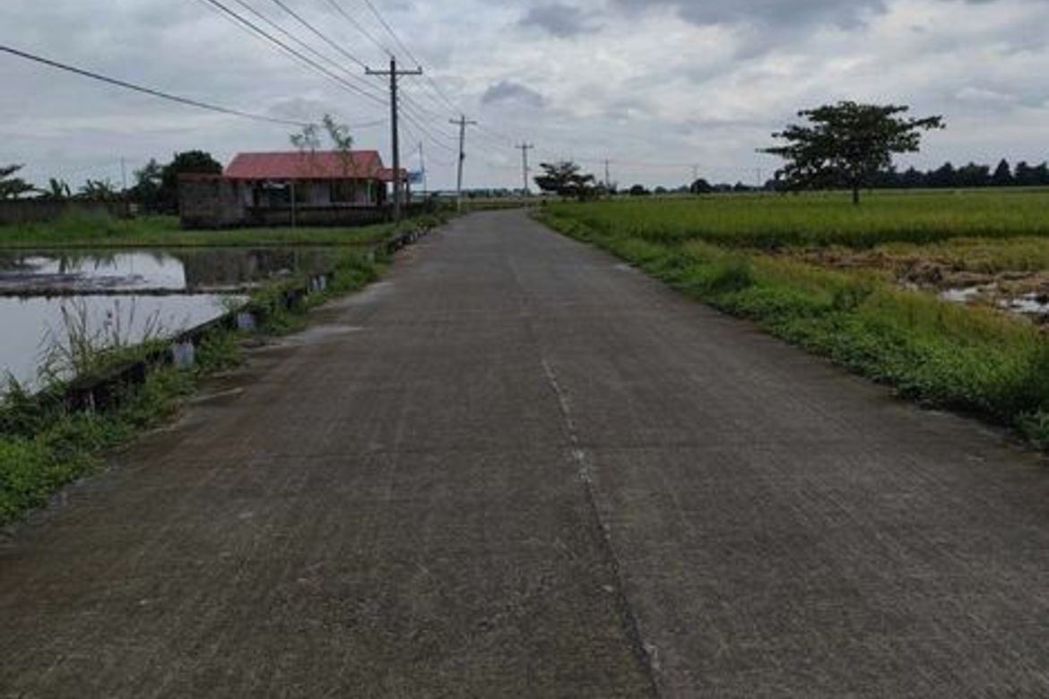 Land for Sale in San Nicolas, Concepcion, Tarlac – photo 4