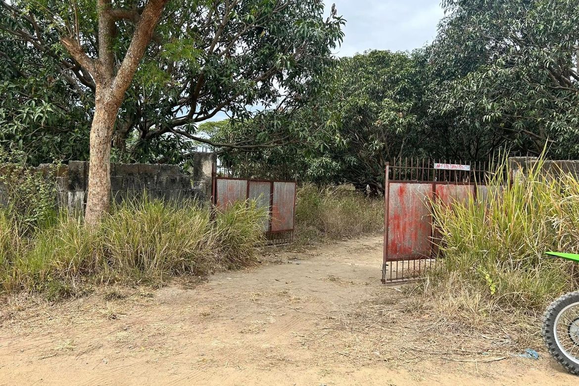Land for Sale in San Nicolas, Concepcion, Tarlac – photo 4