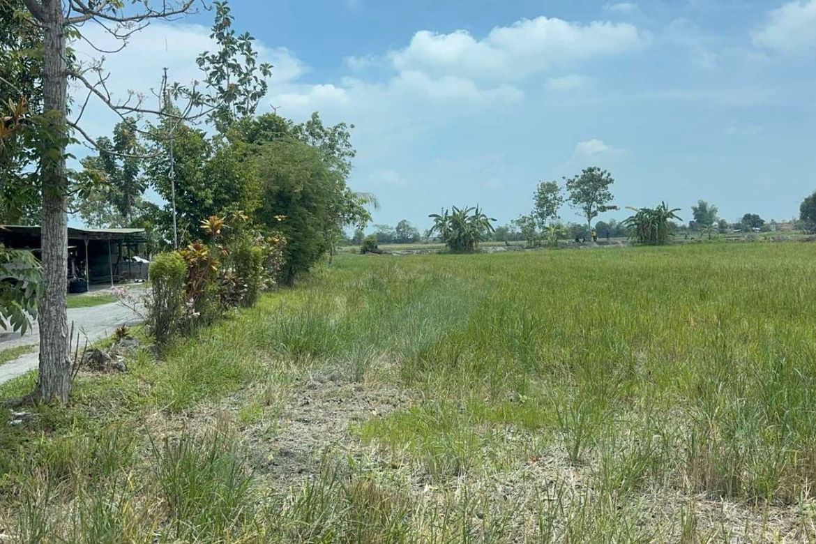 Land for Sale in San Nicolas, Concepcion, Tarlac