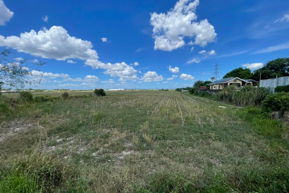 Land for Sale in San Nicolas, Concepcion, Tarlac – photo 2