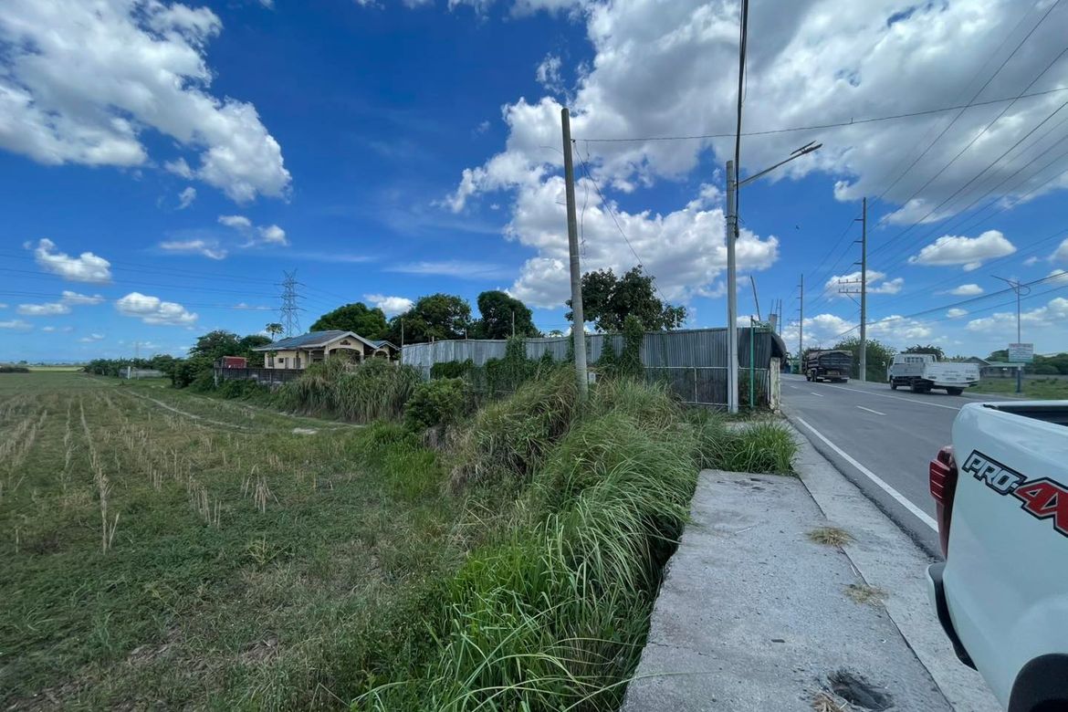 Land for Sale in San Nicolas, Concepcion, Tarlac – photo 4