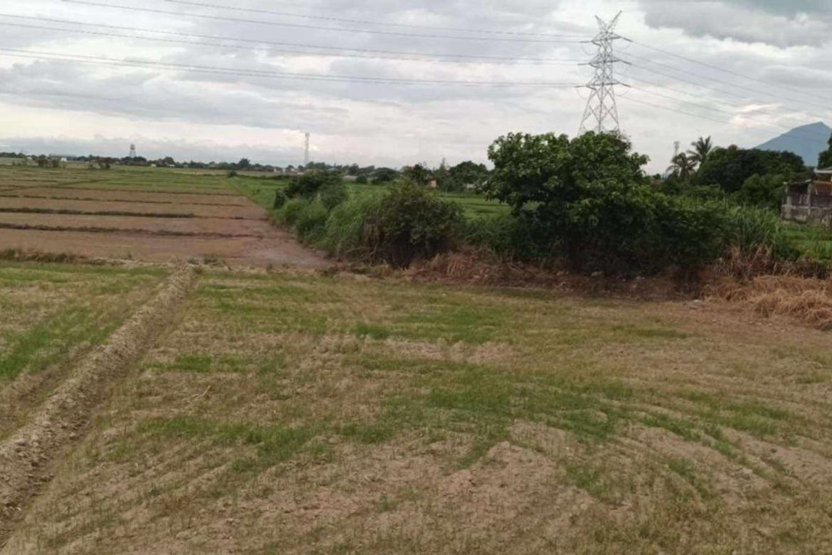 Land for Sale in San Nicolas, Concepcion, Tarlac – photo 3