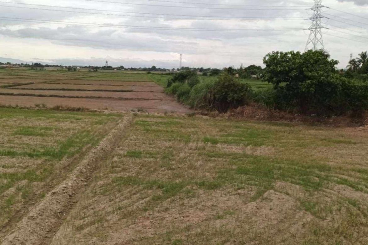 Land for Sale in San Nicolas, Concepcion, Tarlac – photo 4