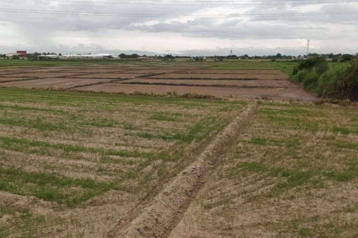 Land for Sale in San Nicolas, Concepcion, Tarlac – photo 5