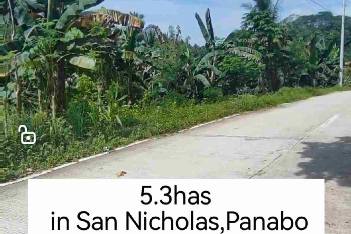 Land for Sale in San Nicolas, Panabo, Davao del Norte