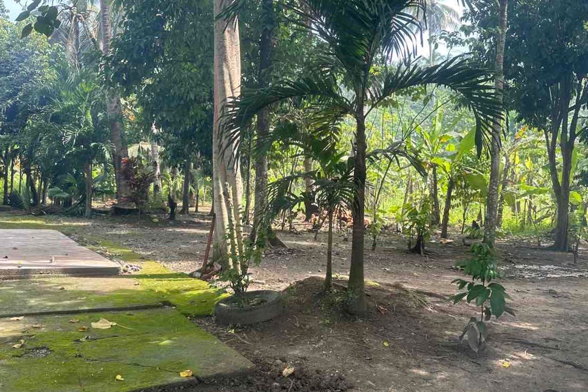 Land for Sale in San Nicolas, Panabo, Davao del Norte – photo 7