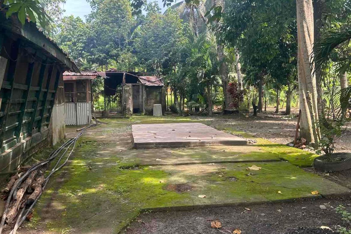 Land for Sale in San Nicolas, Panabo, Davao del Norte – photo 8