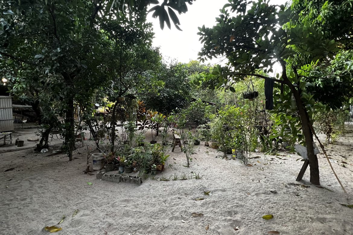 Land for Sale in San Nicolas, San Antonio, Zambales – photo 2