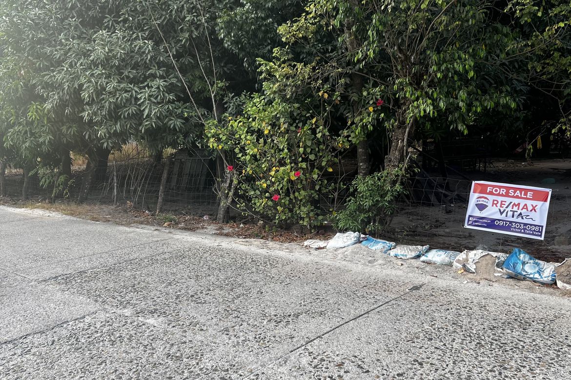 Land for Sale in San Nicolas, San Antonio, Zambales – photo 4