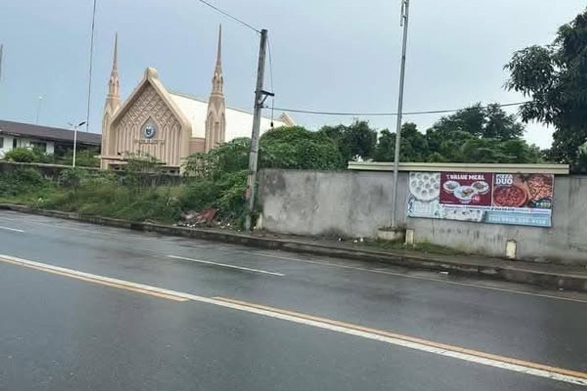Land for Sale in San Pablo, Tarlac, Tarlac – photo 2