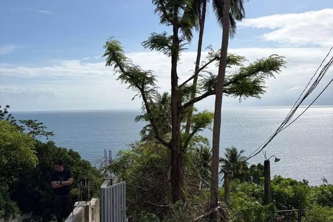 Land for Sale in San Pedro, Bauan, Batangas – photo 3