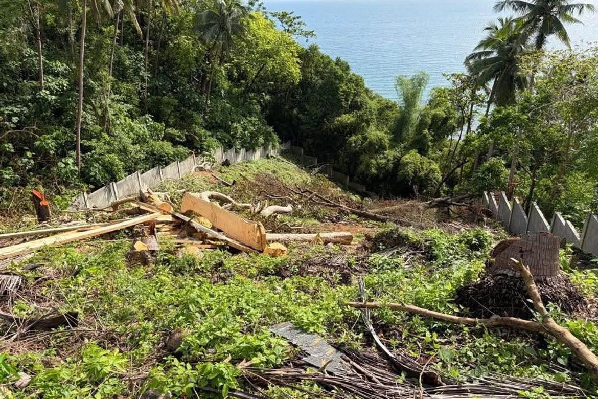 Land for Sale in San Pedro, Bauan, Batangas – photo 4