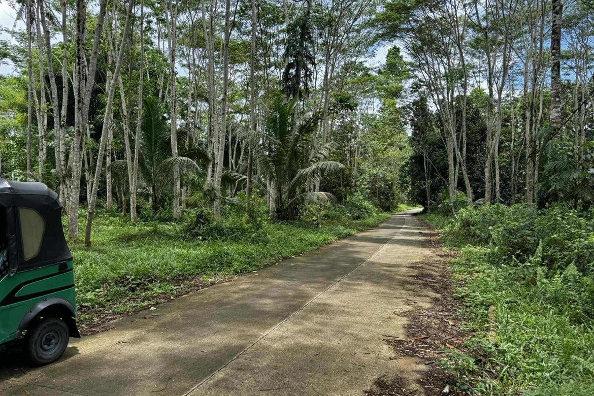 Land for Sale in San Pedro, Polanco, Zamboanga del Norte – photo 3