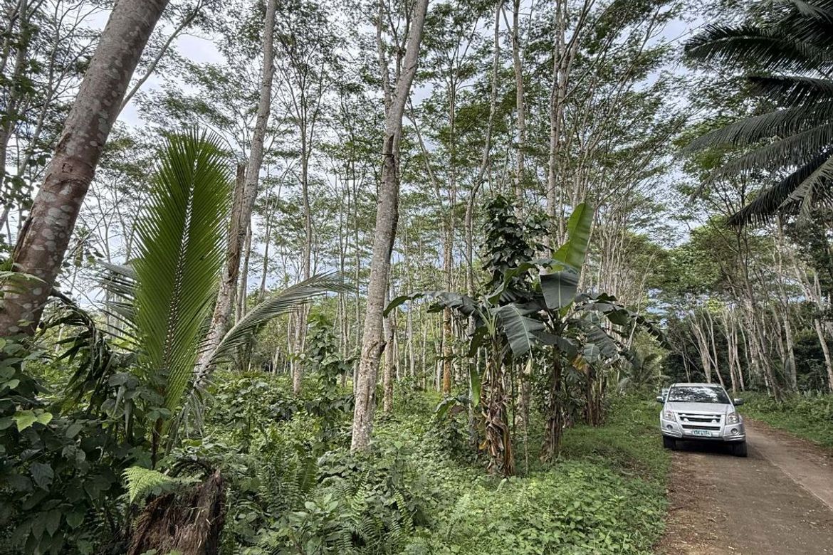 Land for Sale in San Pedro, Polanco, Zamboanga del Norte – photo 6