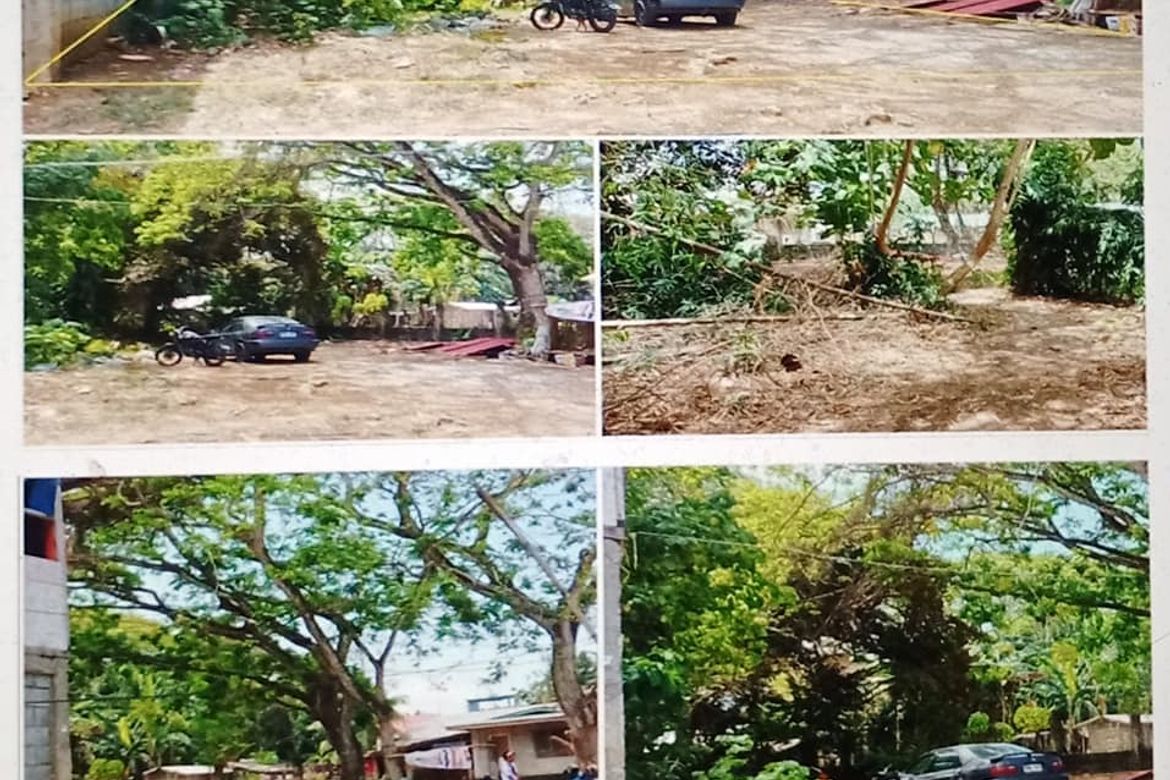 Land for Sale in San Pedro, Puerto Princesa, Palawan – photo 2