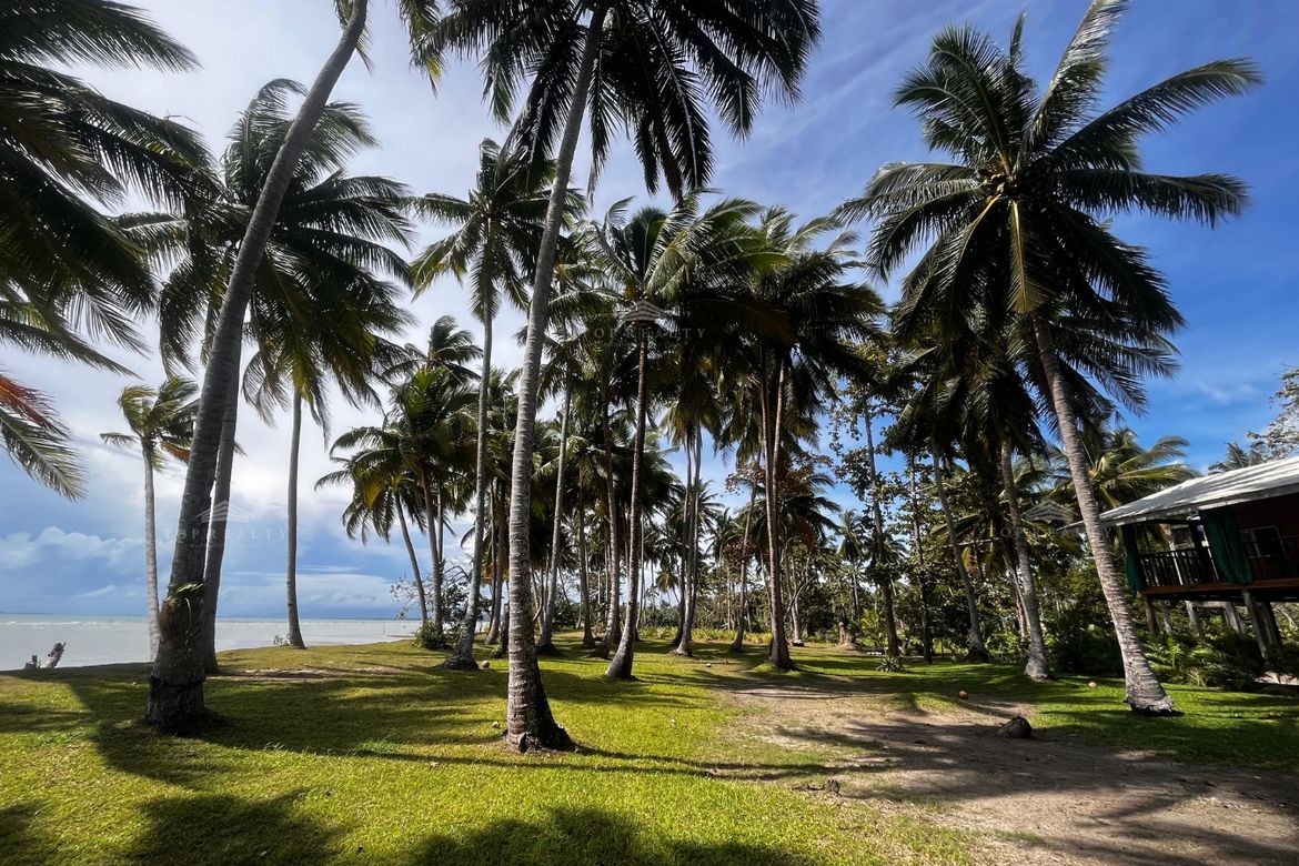 Land for Sale in San Pedro, Puerto Princesa, Palawan – photo 3