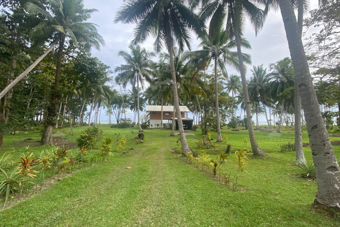 Land for Sale in San Pedro, Puerto Princesa, Palawan – photo 5