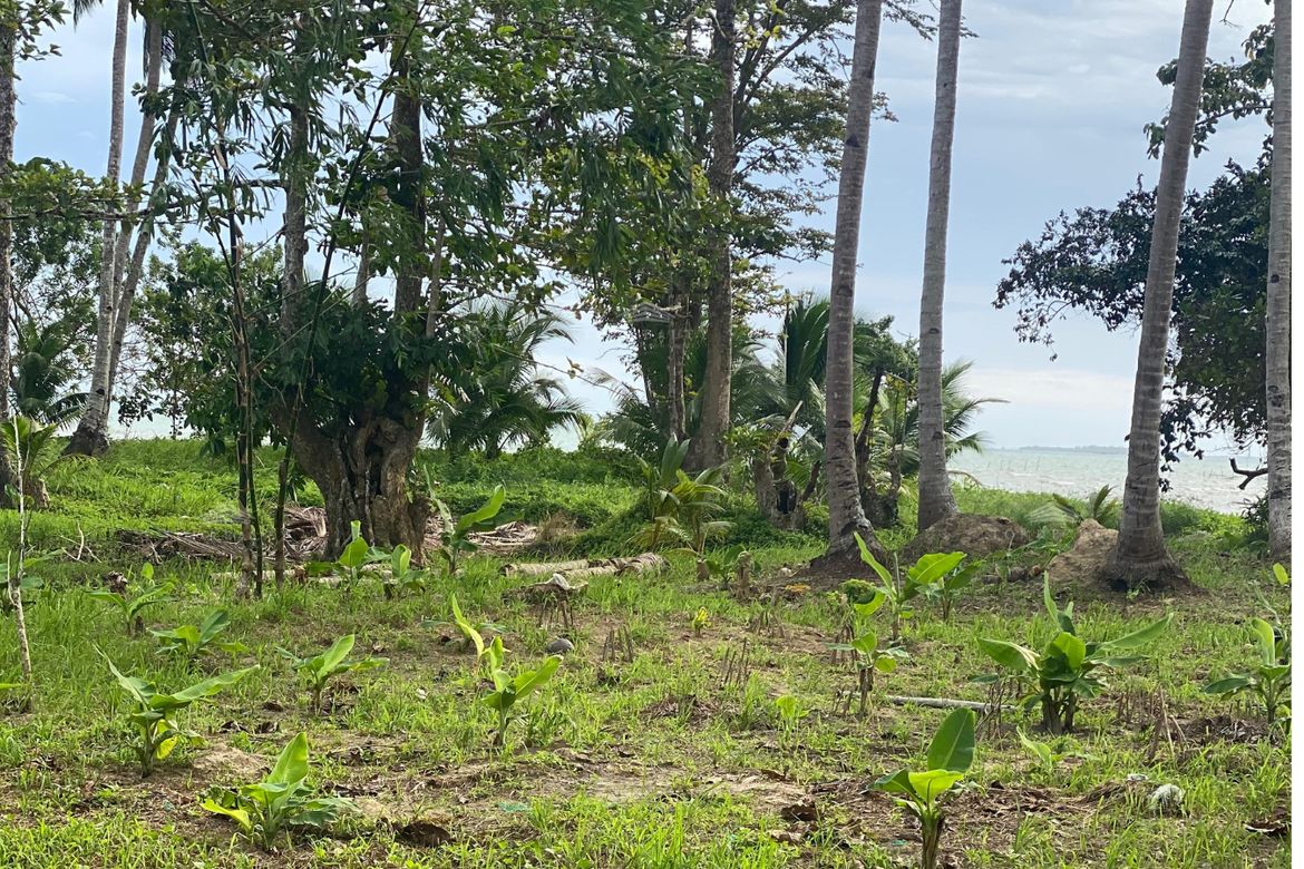 Land for Sale in San Pedro, Puerto Princesa, Palawan – photo 6