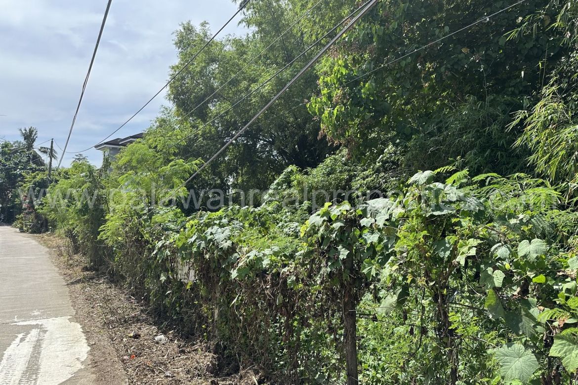 Land for Sale in San Pedro, Puerto Princesa, Palawan – photo 5